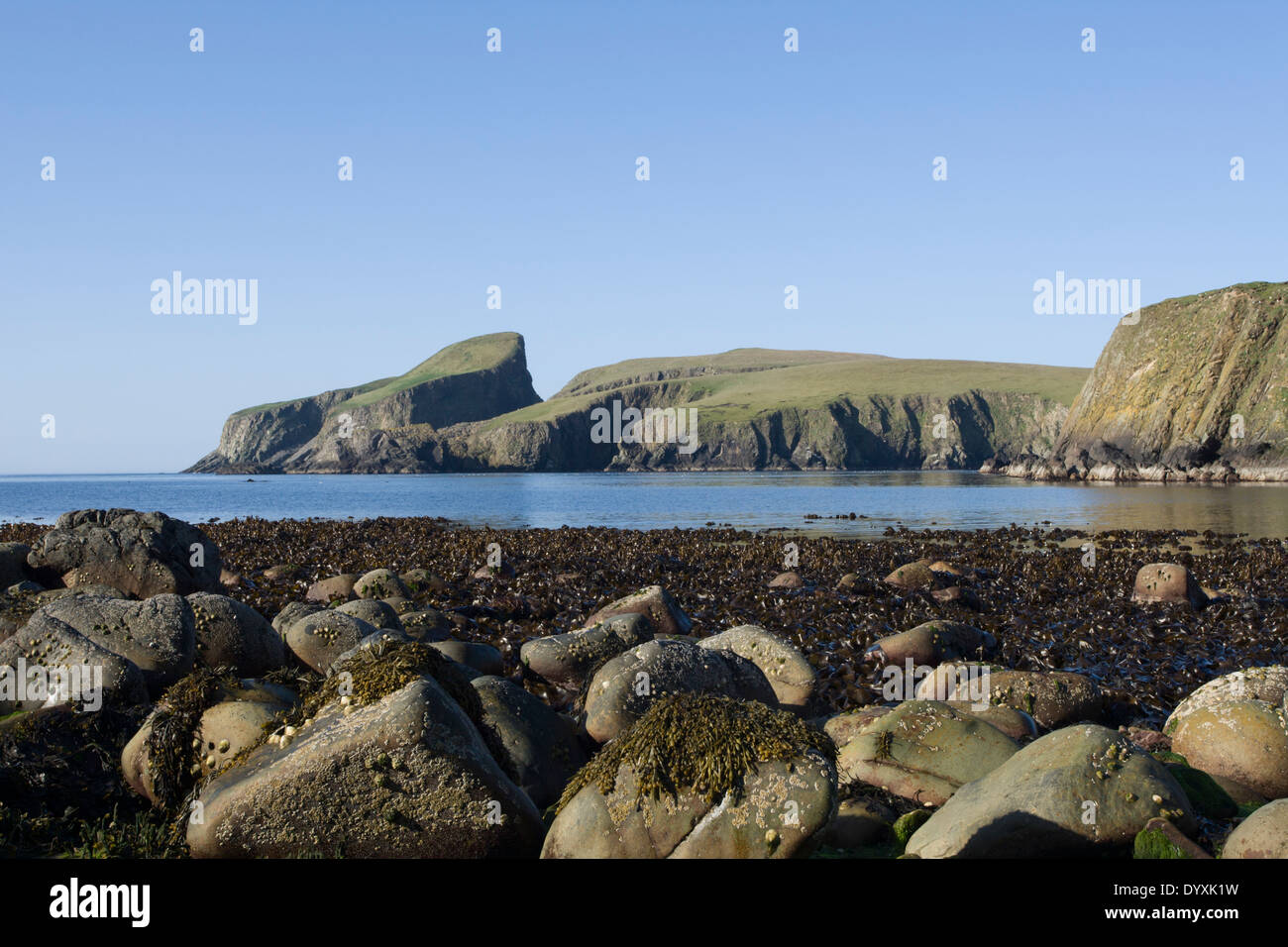 Schaf-Rock auf Fair Isle angesehen von South Haven, Fair Isle, Shetland Stockfoto