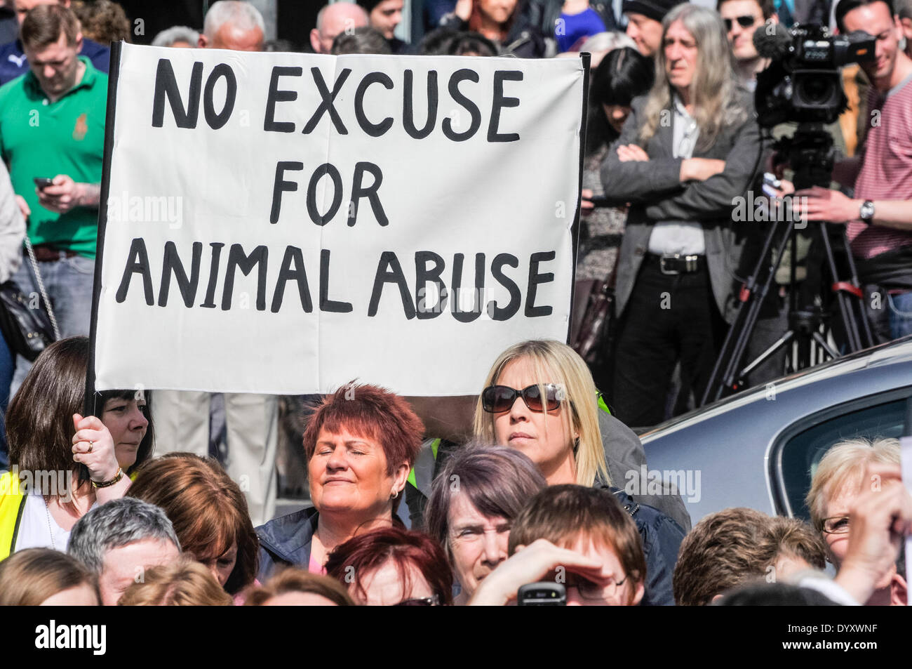 Belfast, Nordirland. 27. April 2014 - ein Banner sagen "Keine Entschuldigung für Tierquälerei" wie Hunderte von Menschen gehalten wird sammeln für eine Rallye, die das Ende der Tierquälerei und strengere Vorschriften für Täter fordert. Bildnachweis: Stephen Barnes/Alamy Live-Nachrichten Stockfoto