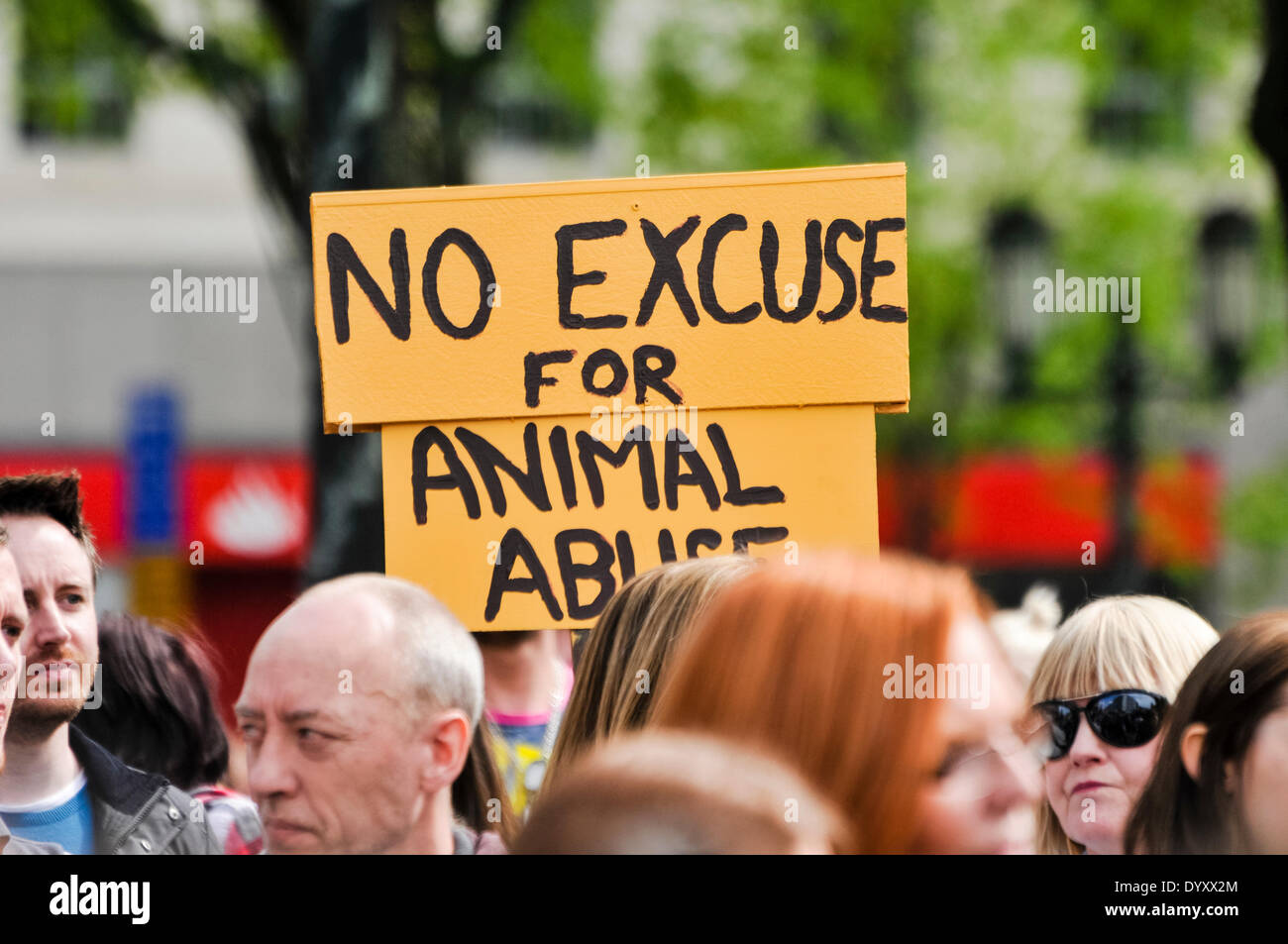 Belfast, Nordirland. 27. April 2014 - ist sagen "Keine Entschuldigung für Animal Abuse" Banner hochgehalten wie Hunderte von Menschen zu einer Kundgebung, die Ende der Tierquälerei und strengere Vorschriften für Täter fordert sammeln. Bildnachweis: Stephen Barnes/Alamy Live-Nachrichten Stockfoto