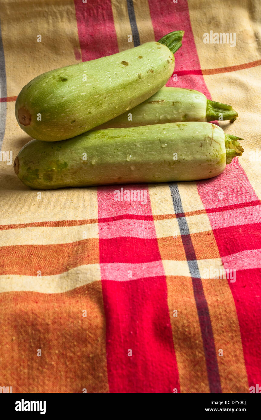 Grünes Gemüse gewaschen. Nassen Zucchini auf einer farbigen Tischdecken. Stockfoto