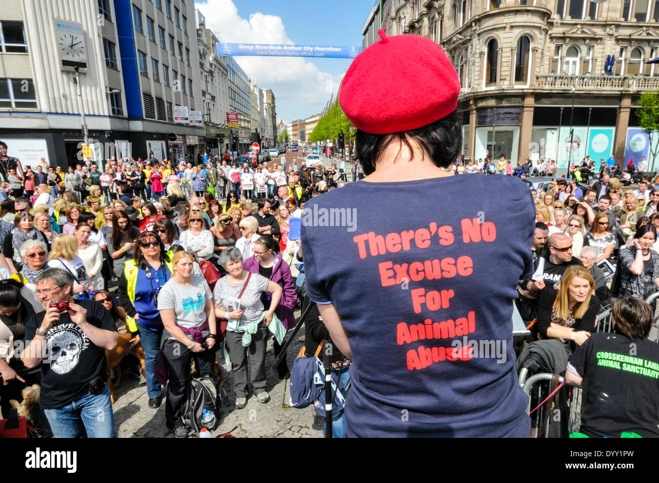 Belfast, Nordirland. 27. April 2014 - versammeln sich Hunderte von Menschen zu einer Kundgebung, die Ende der Tierquälerei und strengere Vorschriften für Täter fordert. Bildnachweis: Stephen Barnes/Alamy Live-Nachrichten Stockfoto