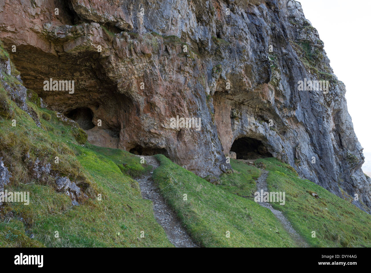 Die Inchnadamph Knochen Höhlen an den unteren Hängen des Beinn ein Fhuarain, Allt Nan Uamh, Assynt, Sutherland nördlichen Schottland, Vereinigtes Königreich Stockfoto