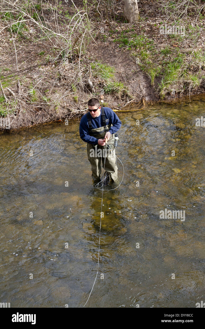 Junger Mann Fliegenfischen am Eröffnungstag für Forellen in einem Fluss. Stockfoto