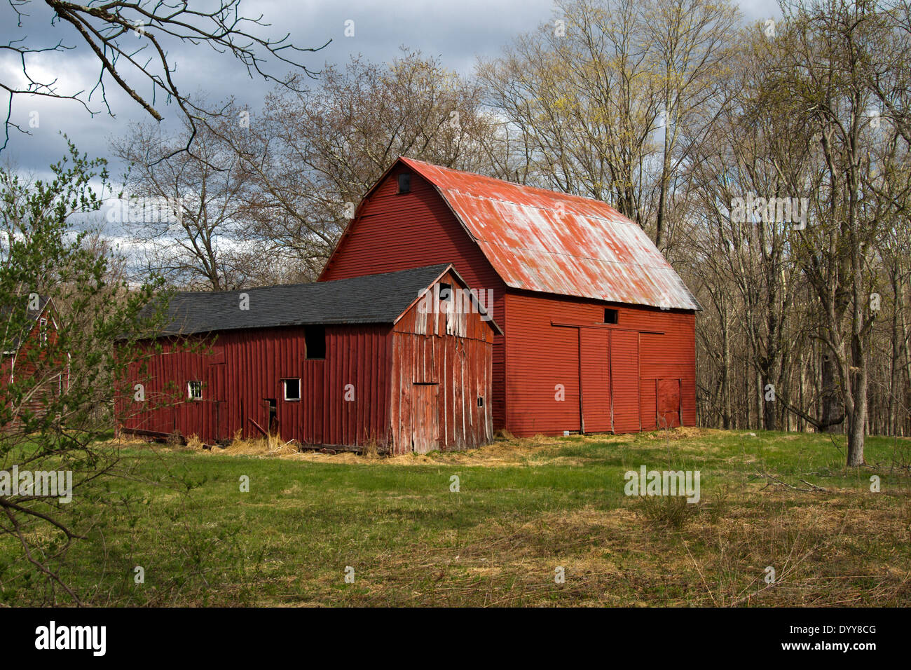 Bauernhof rote Scheune und Lagergebäude. Stockfoto