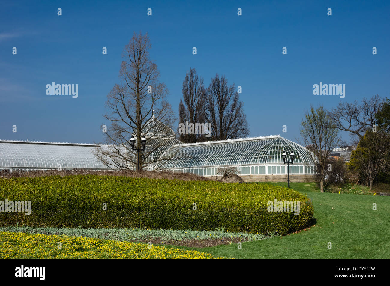 Gewächshaus bei Phipps Konservatorium.  Pittsburgh, Pennsylvania Stockfoto