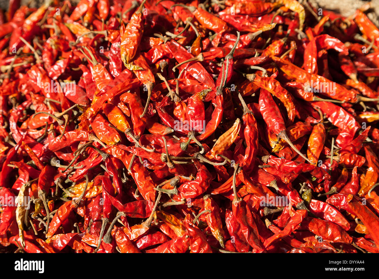 Neu-Delhi, Indien. Chili Peppers auf dem Markt. Stockfoto