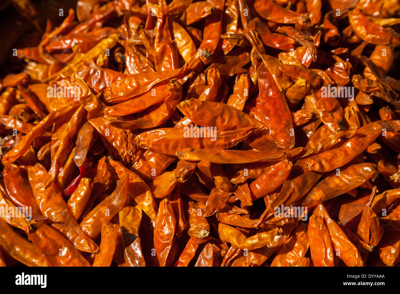 Neu-Delhi, Indien. Chili Peppers auf dem Markt. Stockfoto