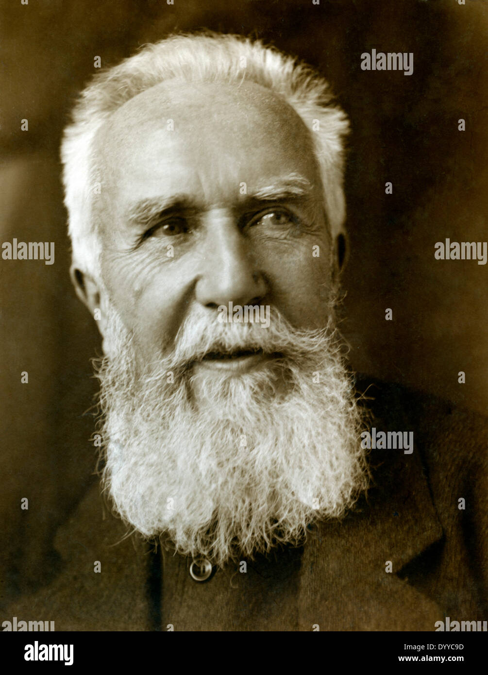 Ernst Haeckel Stockfoto