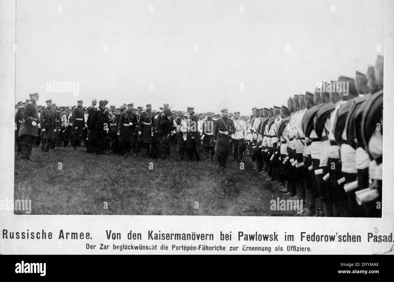 Zar Nikolaus II. die Ernennung der Offiziere in Pawlowsk gratuliert Stockfoto