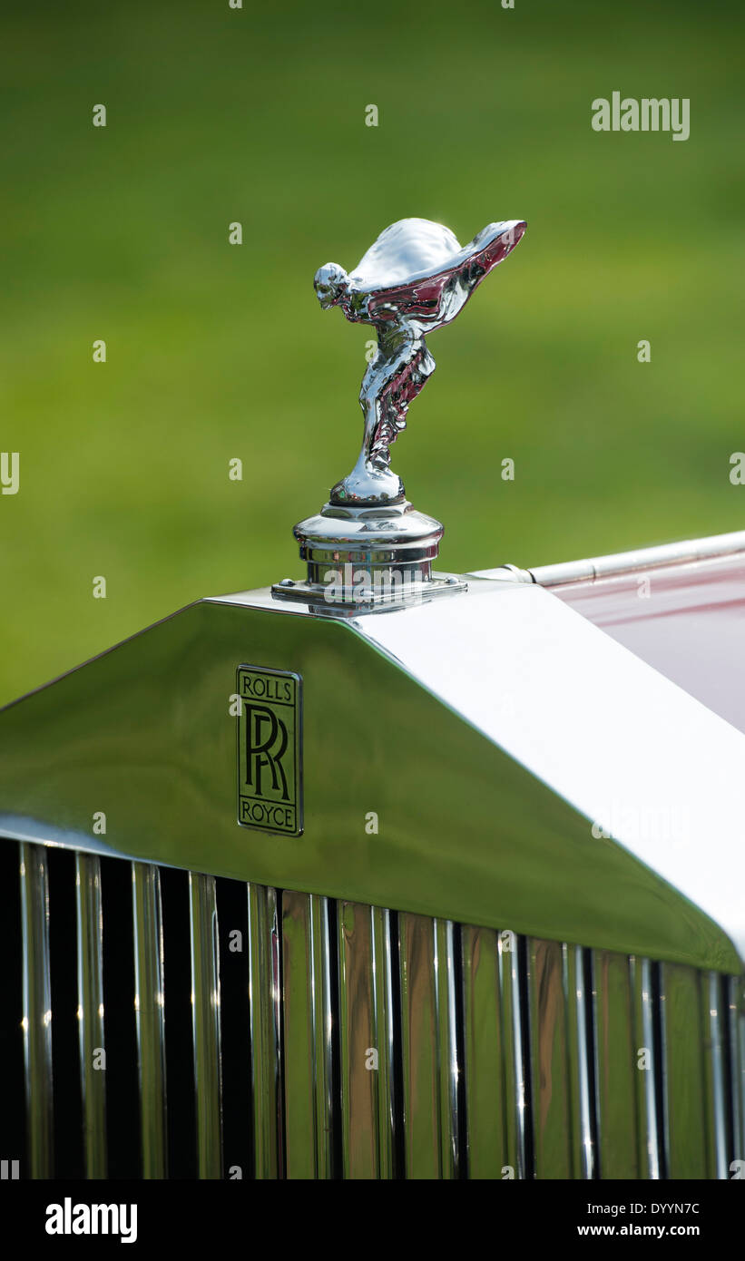 Rolls-Royce, Spirit of Ecstasy, der Kühlerfigur auf dieser klassischen britischen Oldtimer Stockfoto