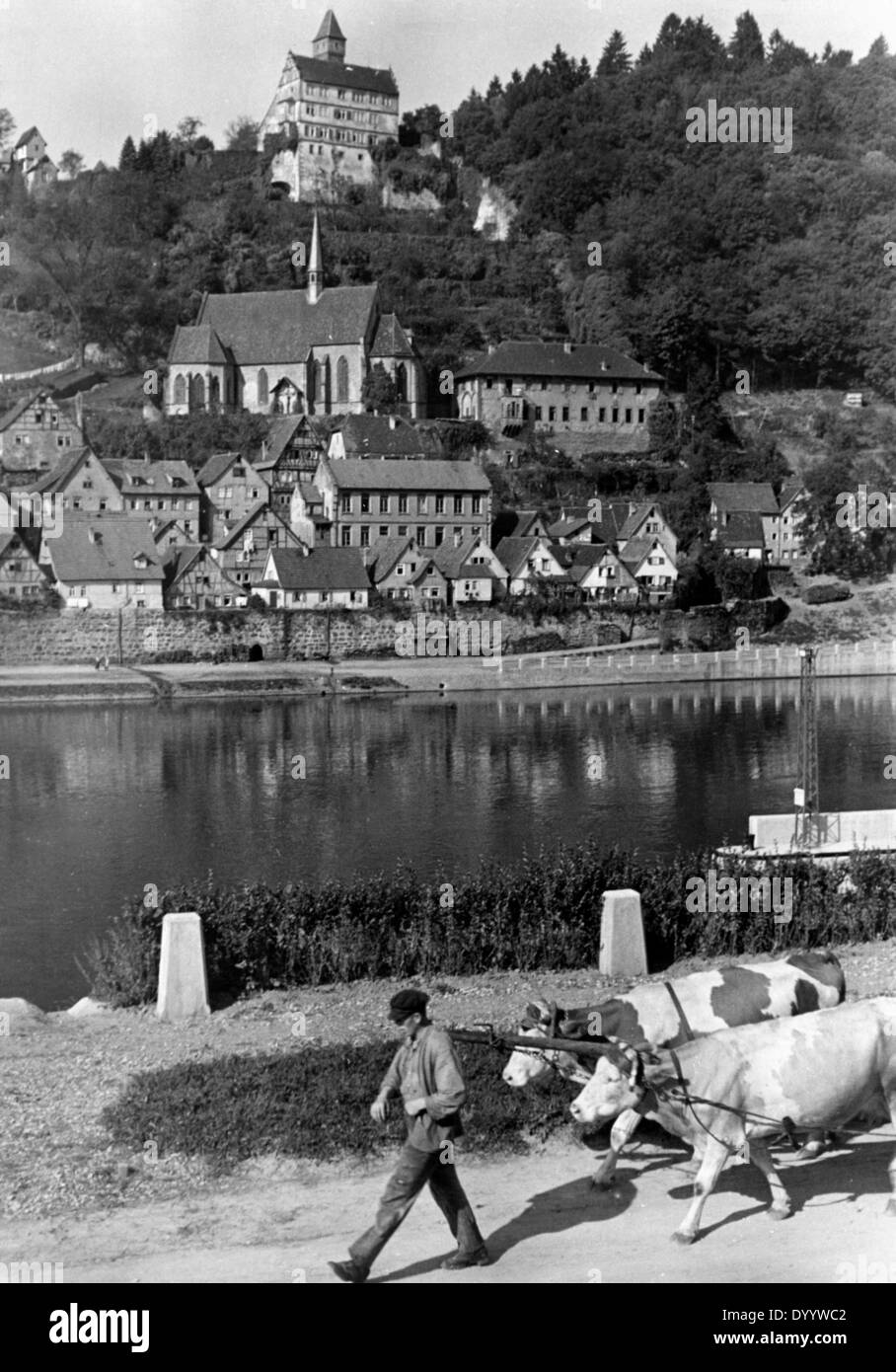 Hirschhorn, 1935 Stockfoto