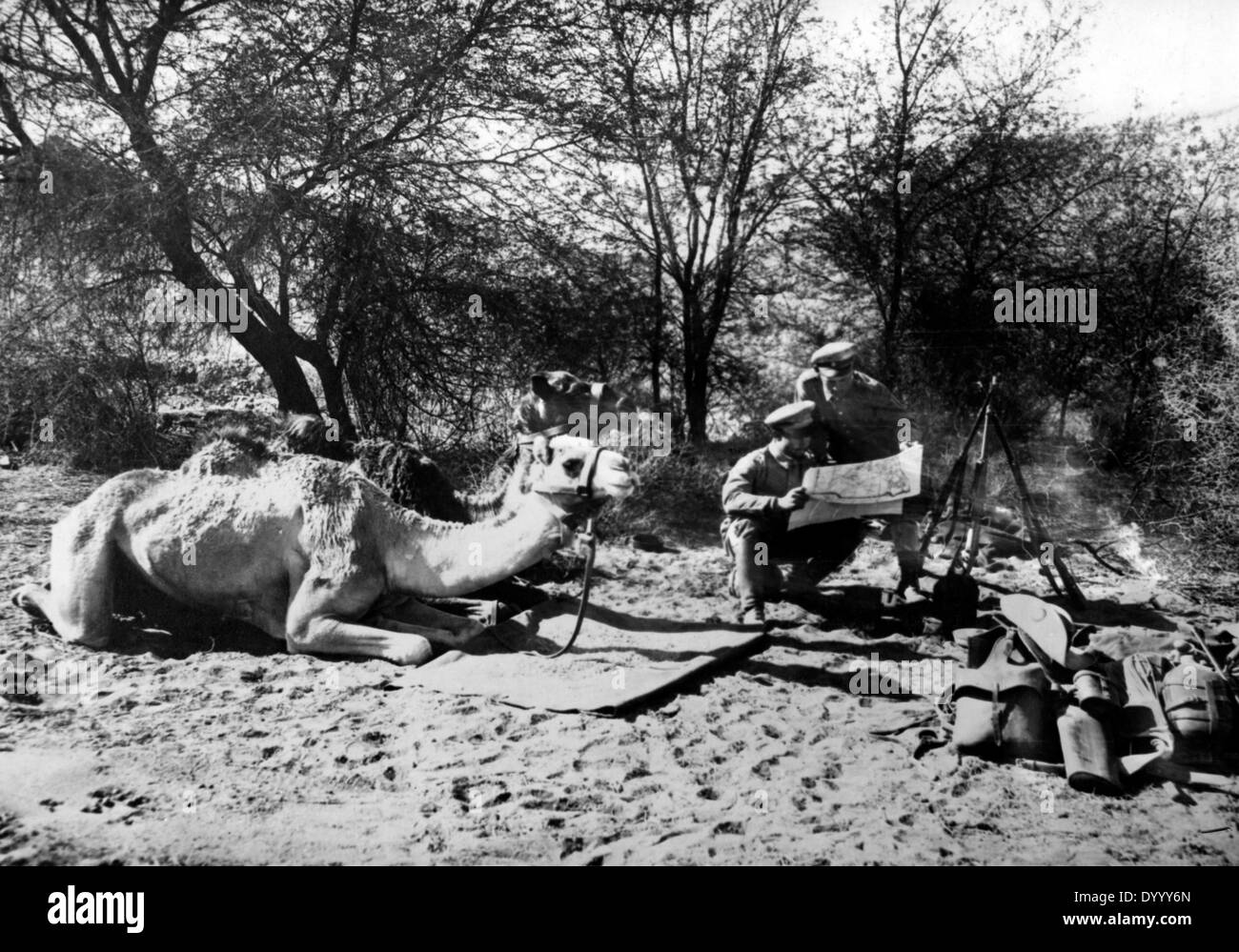 Kamelreiter in Deutsch-Südwestafrika im ersten Weltkrieg Stockfoto