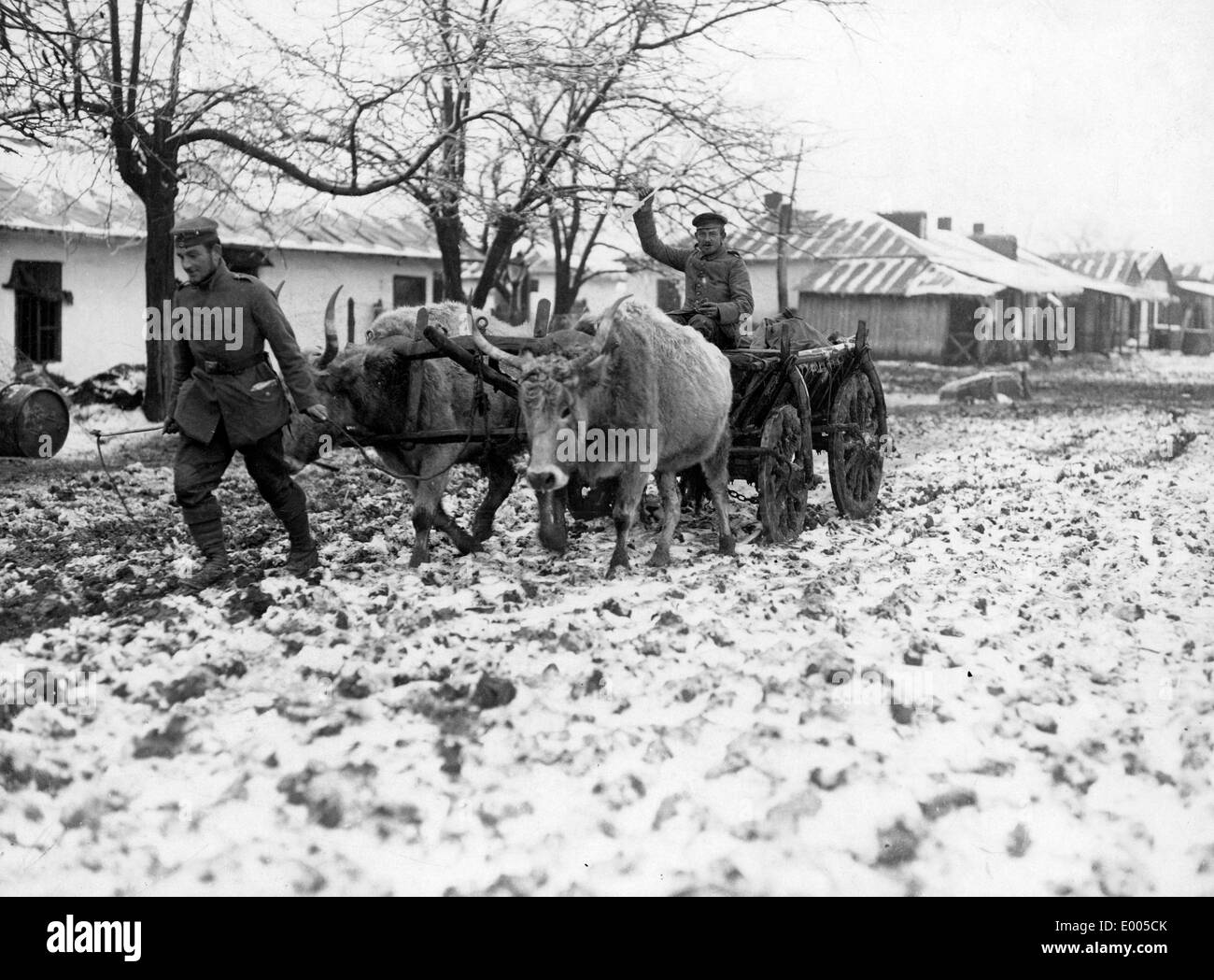 Ochsen gezogenen Karren in Rumänien, 1917 Stockfoto