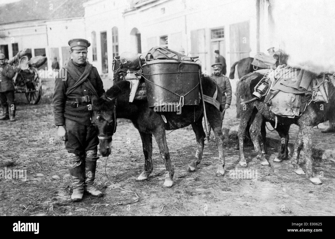 Bulgarische Feldküche auf einem Pferd in Serbien, 1915 Stockfoto