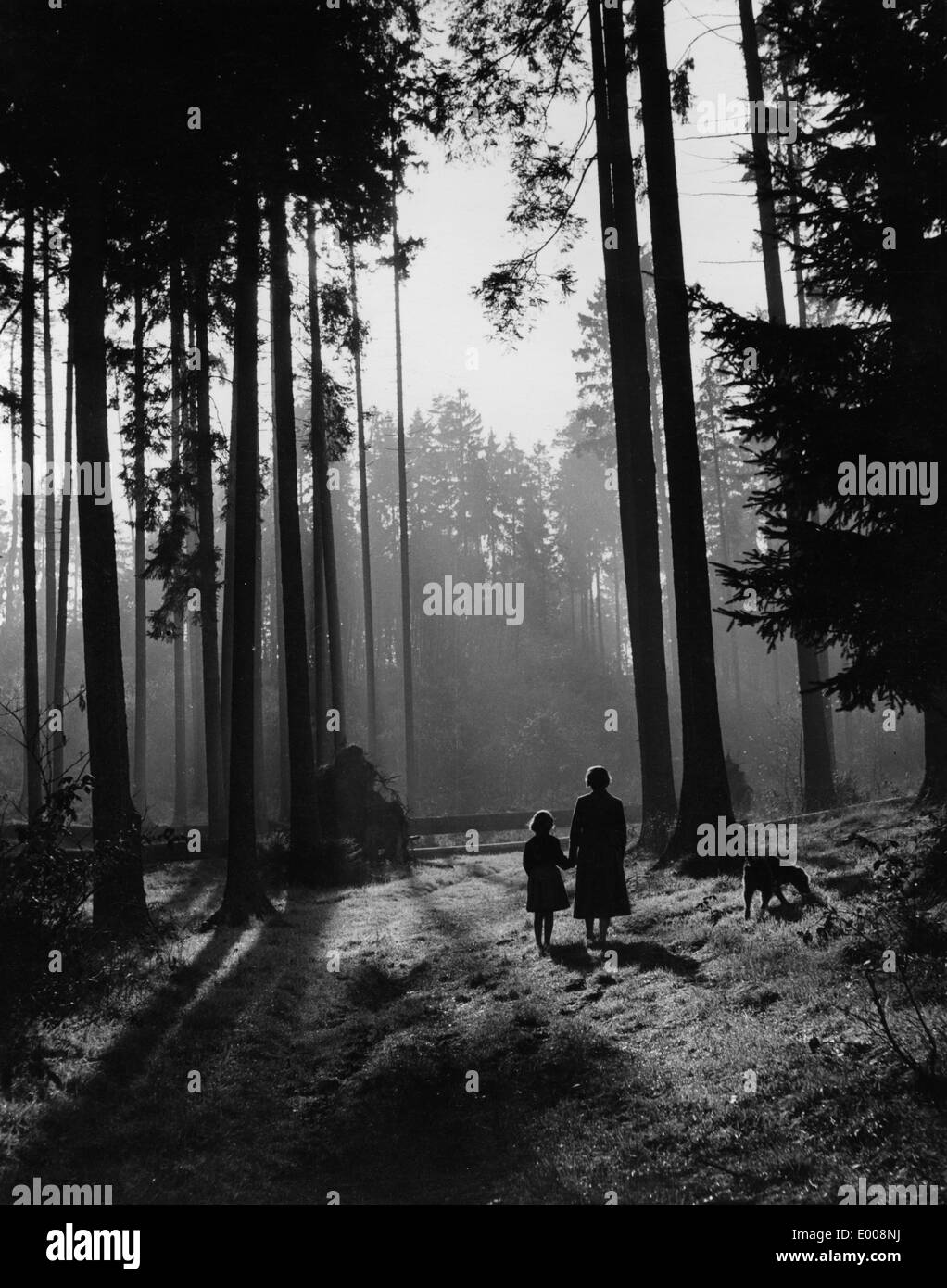 Wandern in den Wäldern, 50er Jahre Stockfoto