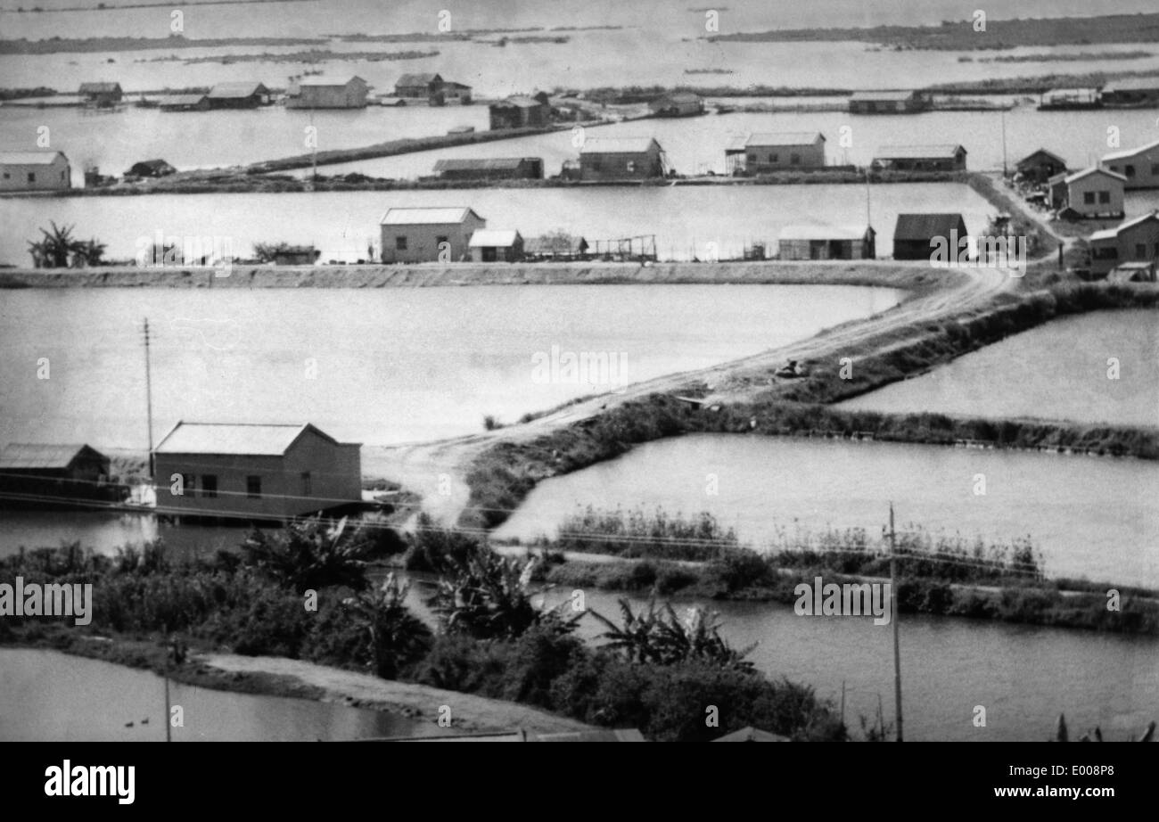 Künstliche Teiche in China Stockfoto