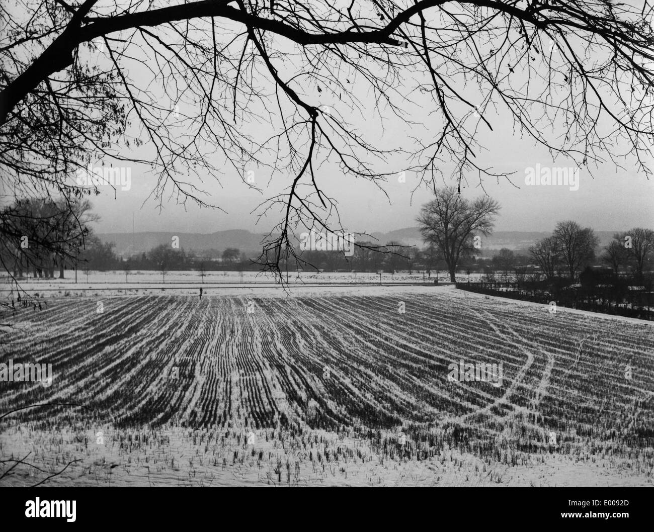 Feld in Schwaben Stockfoto