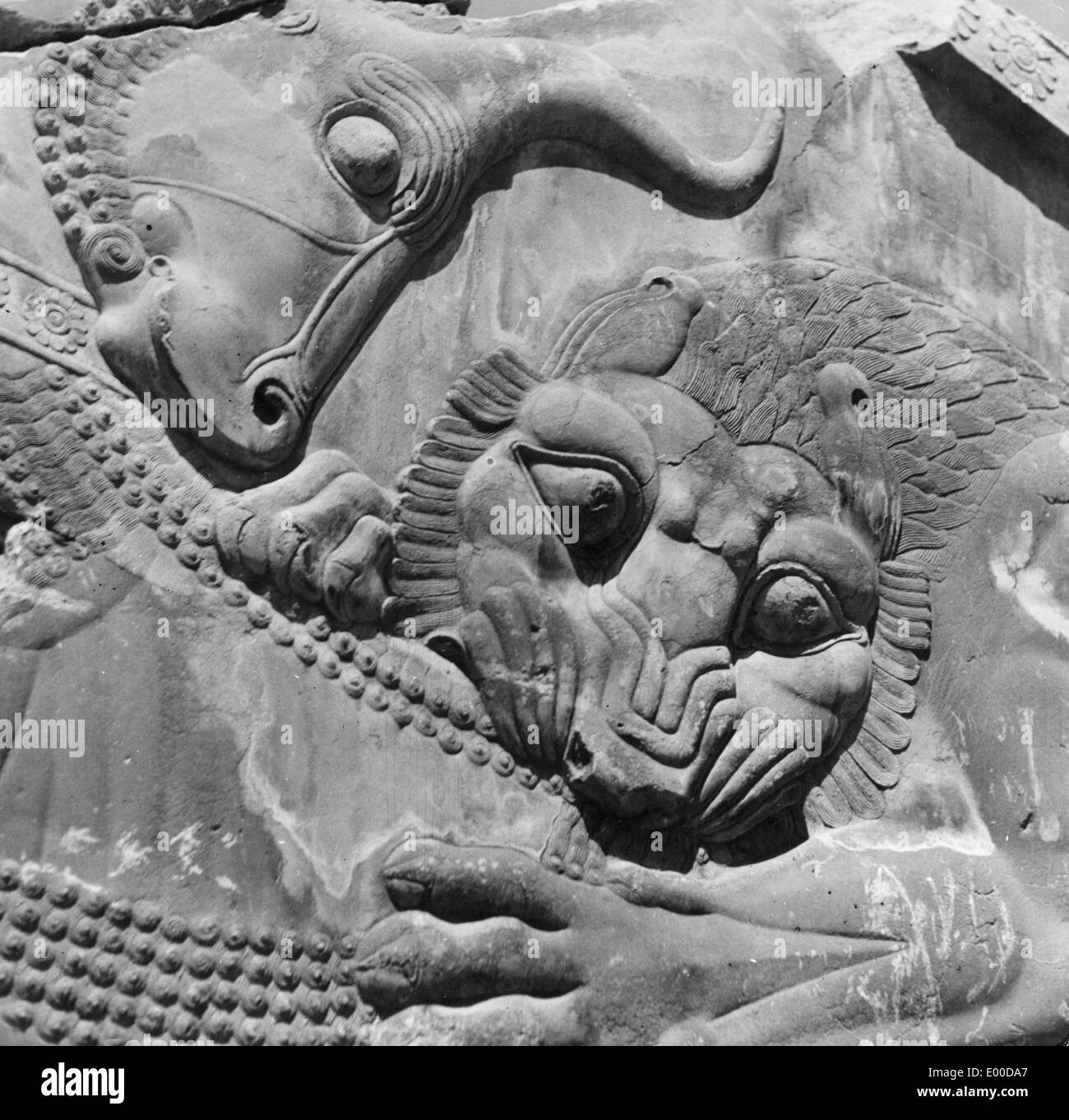 Tierdarstellungen in Persepolis Stockfoto