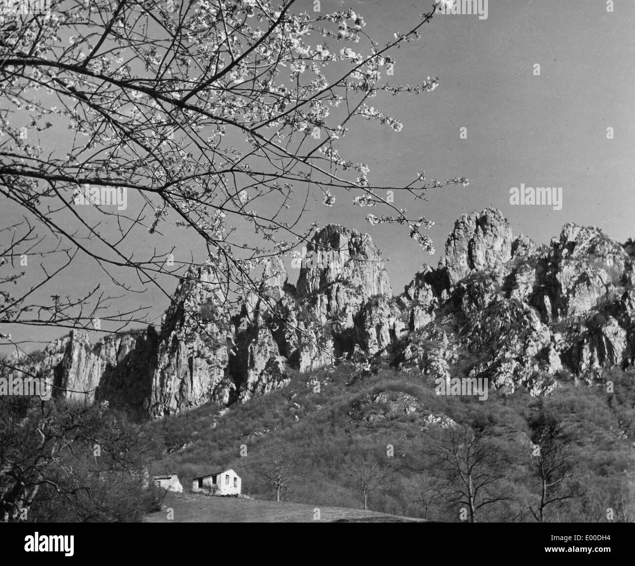 Frühling in Tiscino Stockfoto
