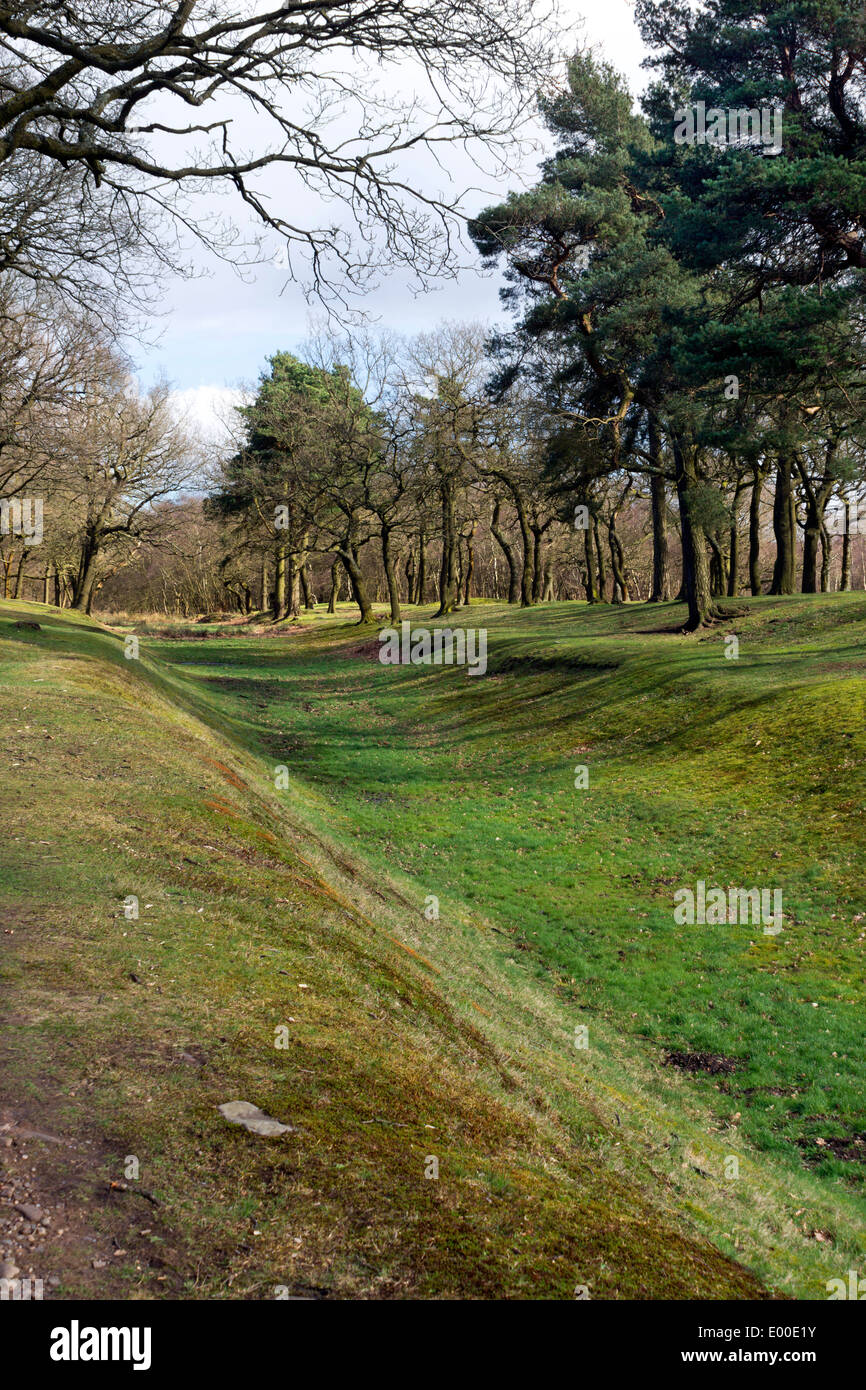 Antoninuswall in Rough Castle, in der Nähe von Falkirk in Schottland Stockfoto