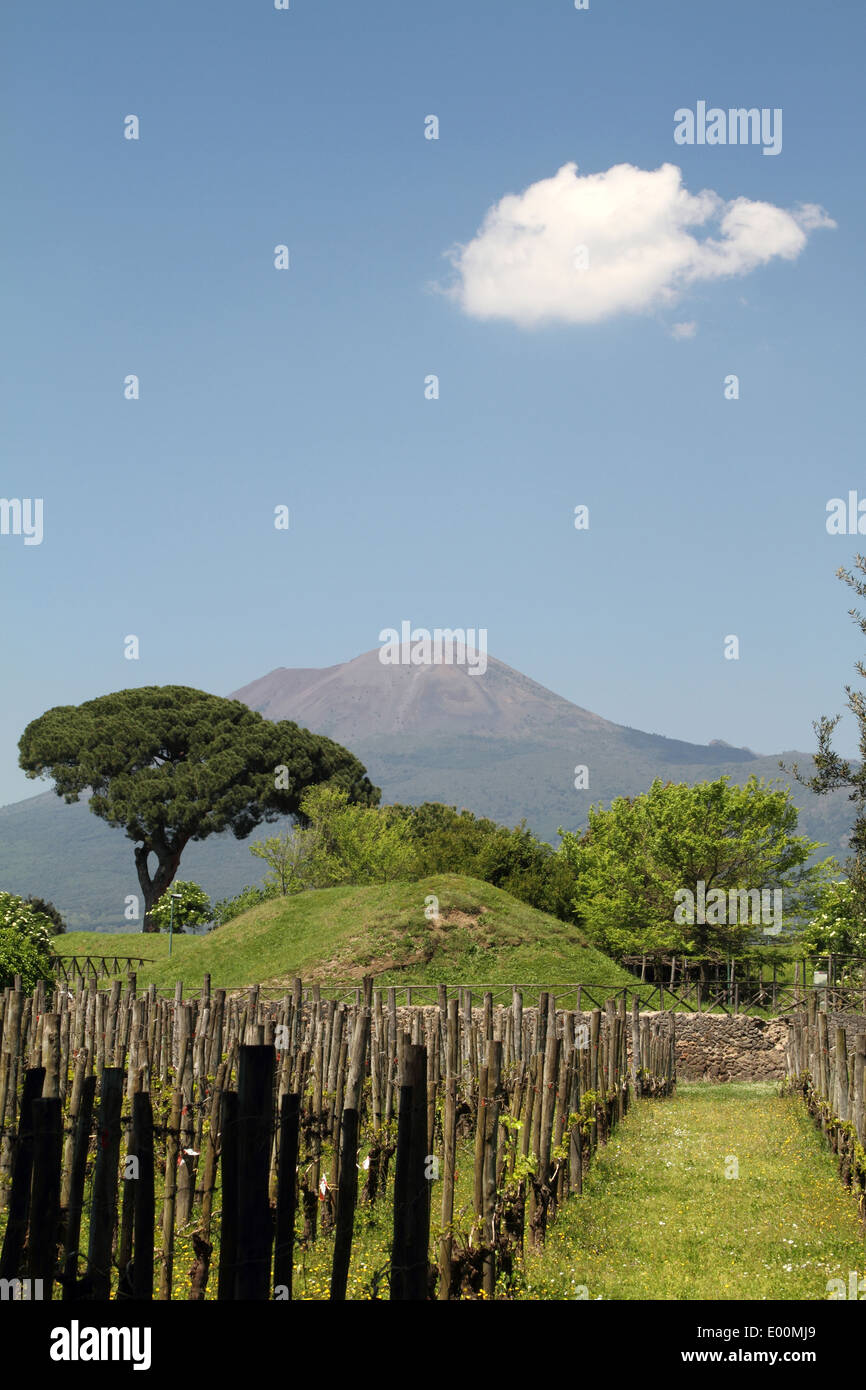 Pompeji garten Fotos und Bildmaterial in hoher Auflösung Alamy