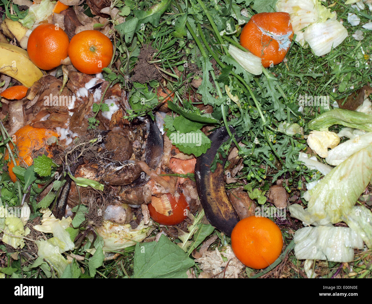 Küche und Gartenabfälle auf einen Komposthaufen Links zu zersetzen. Stockfoto