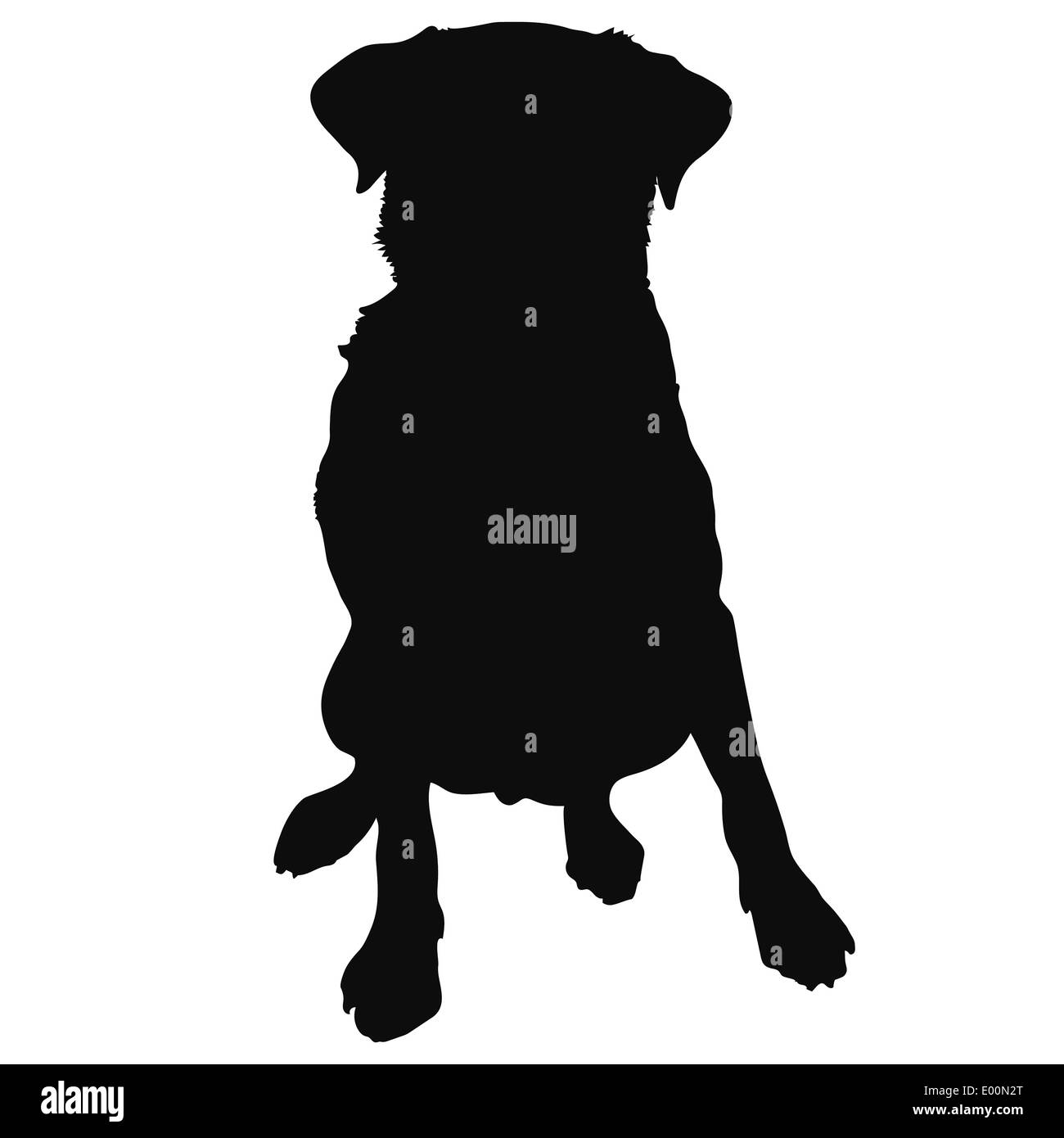 Eine Silhouette eines sitzenden Labrador Retriever, die auch eine generische kurzen Haaren Hund sein könnte Stockfoto