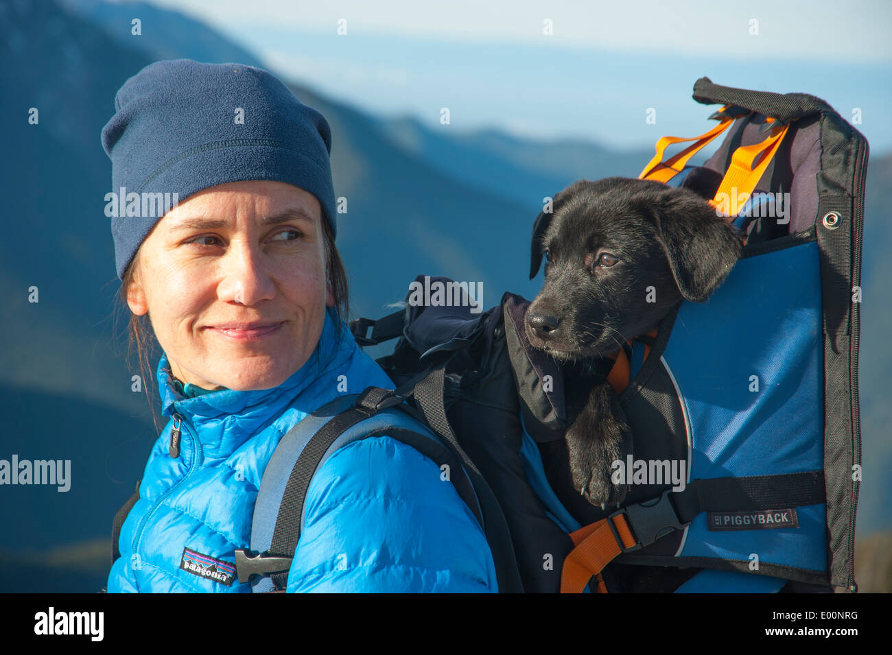 Wanderer mit Welpen im Rucksack im Bundesstaat Washington Olympic Peninsula im Nordwesten des Olympischen Nationalparks Mount Townsend USA Stockfoto