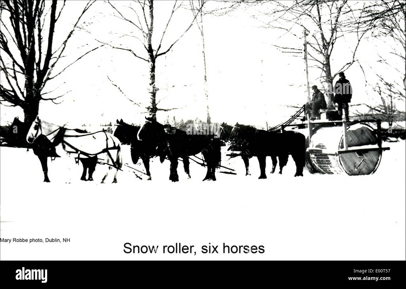 Schnee-Roller und Pferd Team in Dublin, New Hampshire Stockfoto