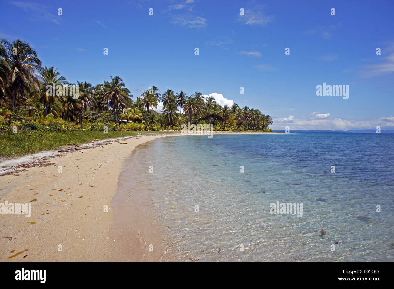 Karibische Naturstrand auf Bastimentos Insel in panama Stockfoto