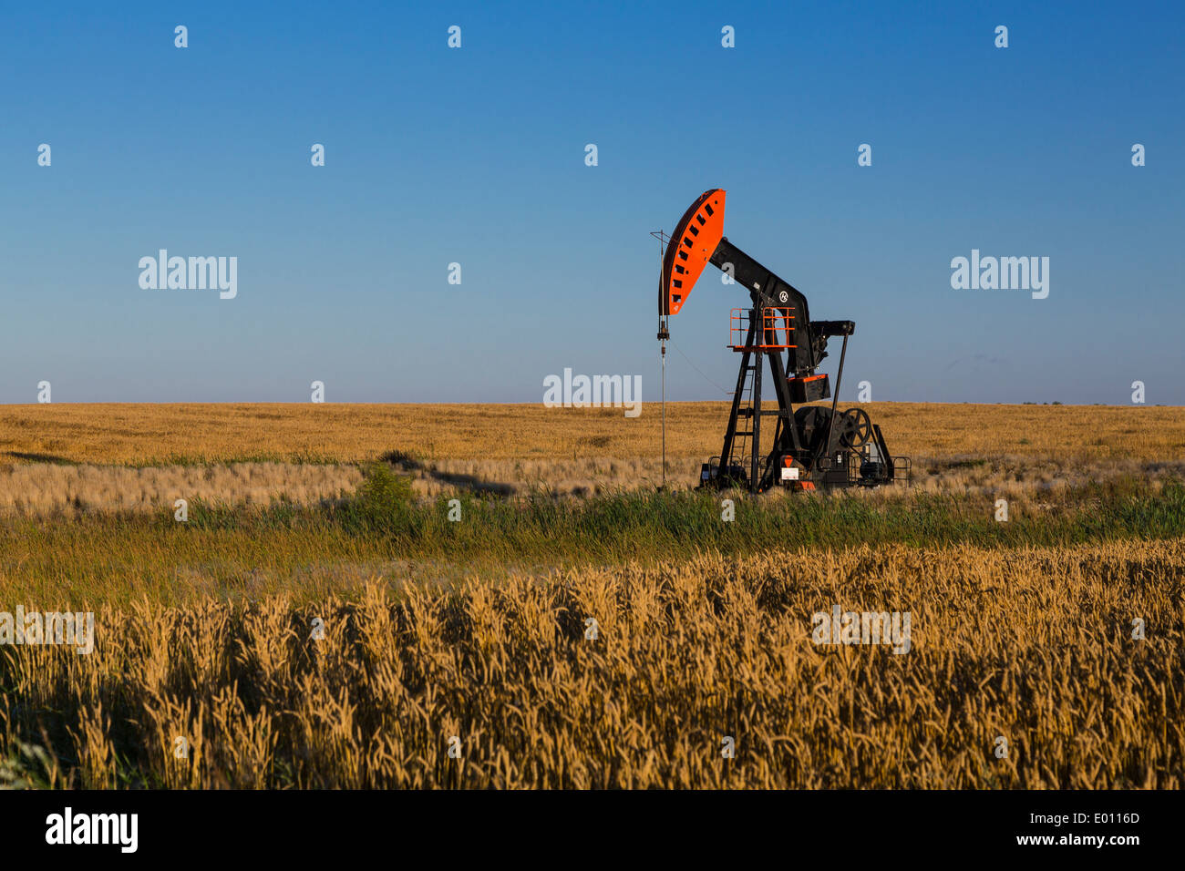 Ein Öl Produktion Pumpe Jack in den Bakken spielen Ölfeld Ablagerungen in der Nähe von Stoughton, Saskatchewan, Kanada. Stockfoto