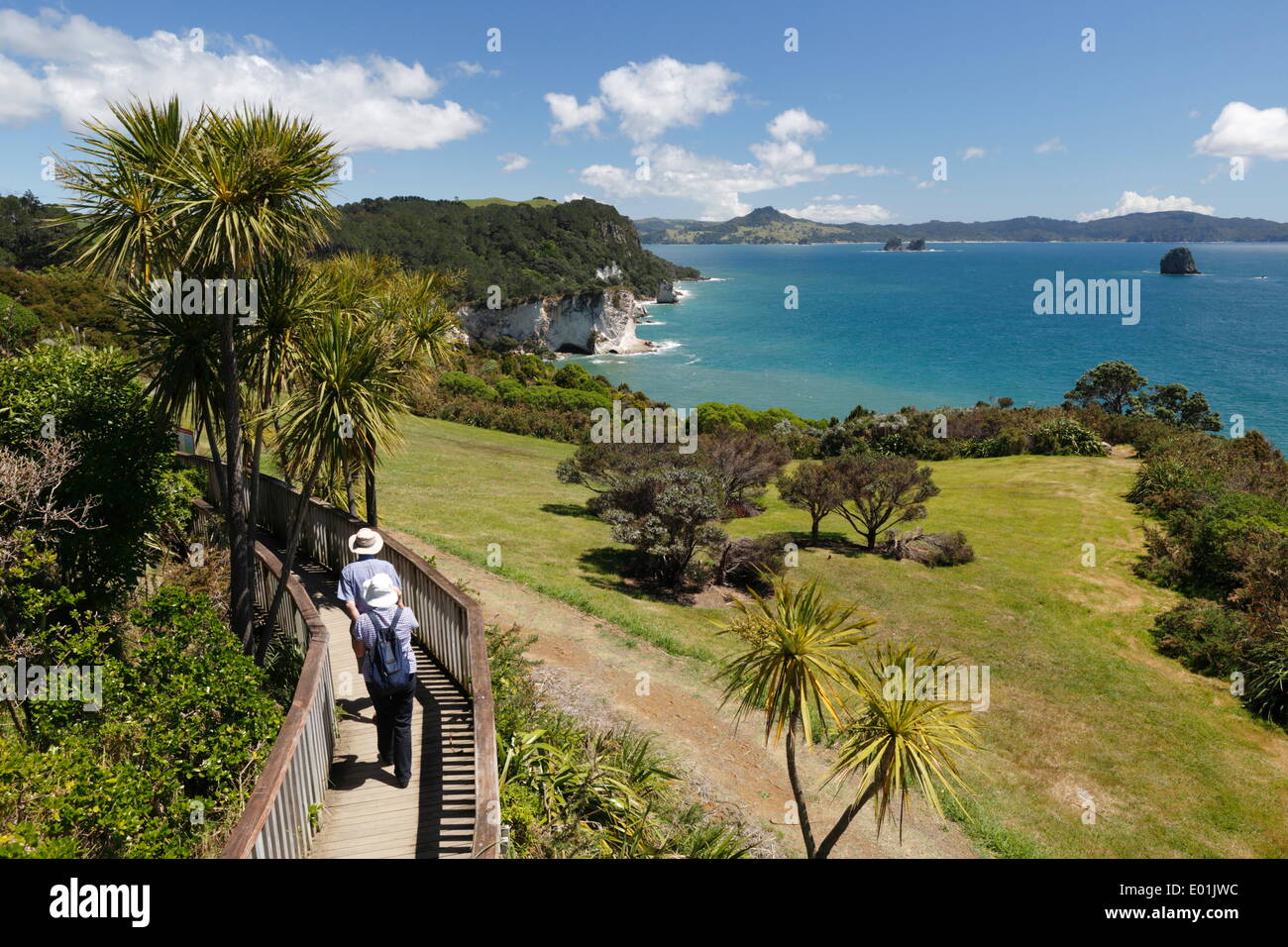 Blick entlang Freizeit Cathedral Cove, Reserve, Hahei, Coromandel Halbinsel, Waikato, North Island, Neuseeland, Pazifik Stockfoto