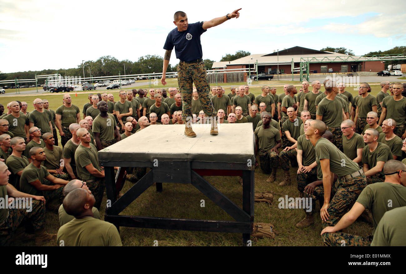 US Marine Drill Instructor schreit Anweisungen an die Rekruten für den Hindernis-Parcours im Boot Camp 6. November 2013 in Parris Island, South Carolina. Stockfoto