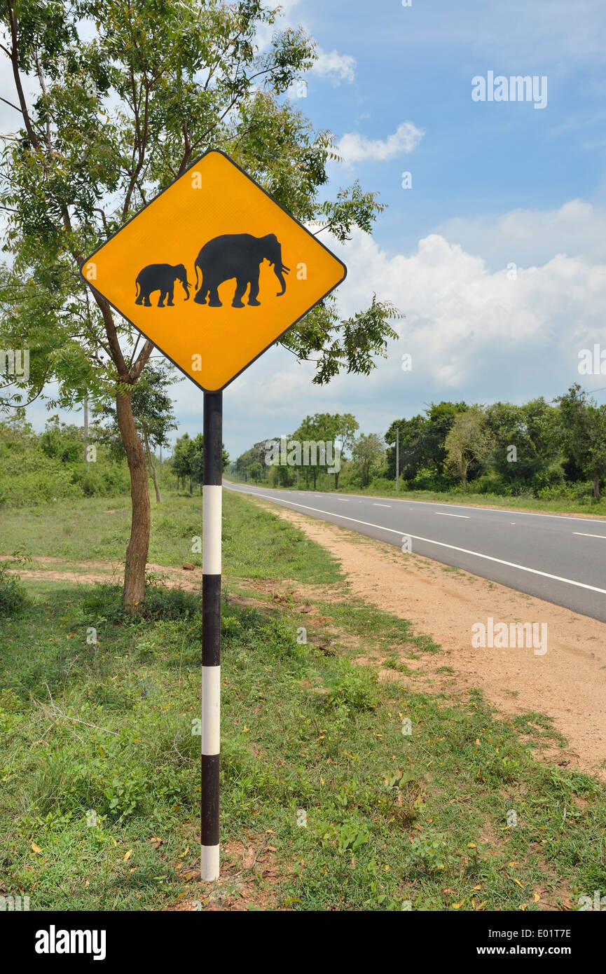 Hüten Sie sich vor Elefanten Zeichen auf offener Landstraße Stockfoto