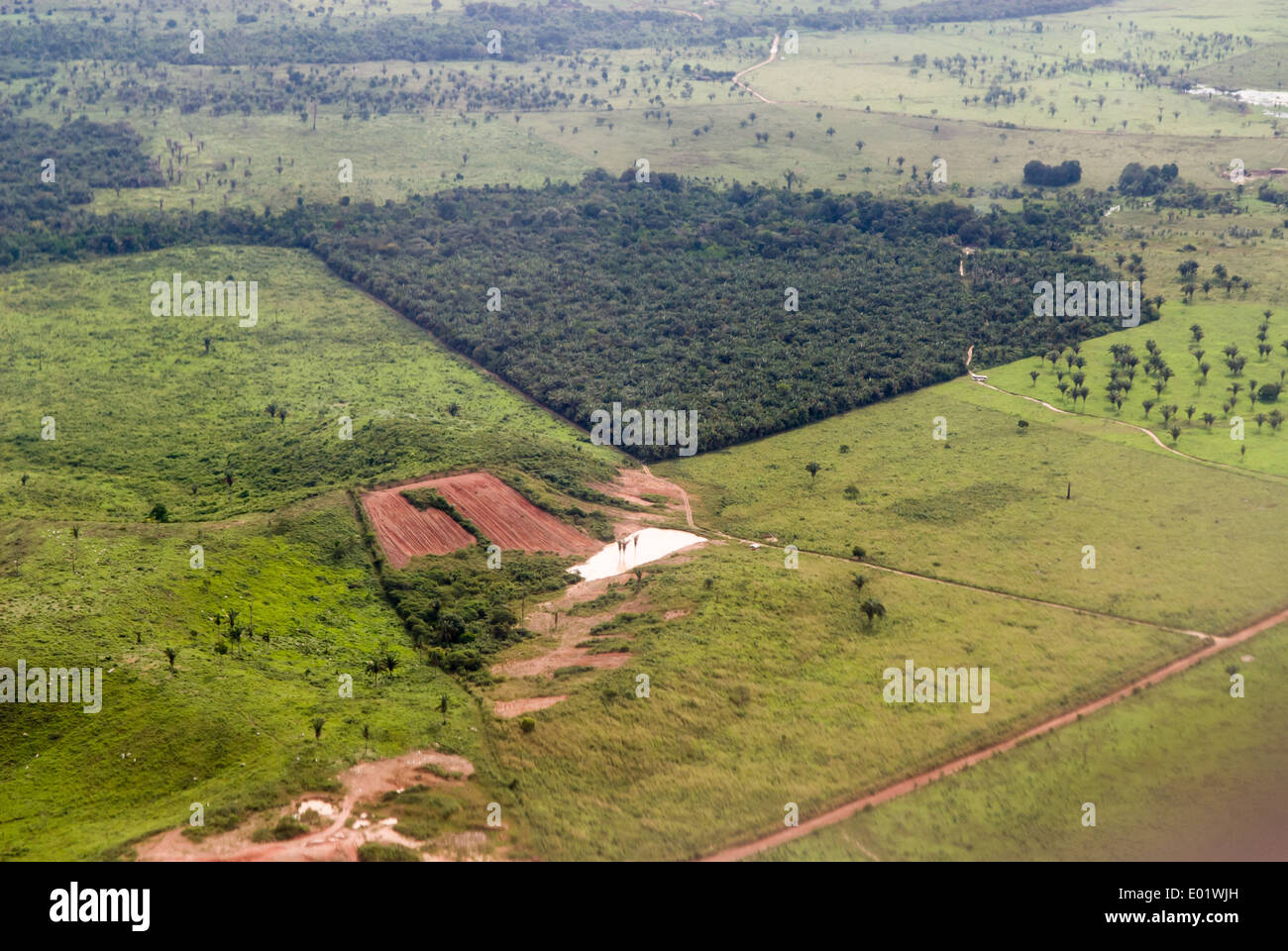 Belem, Maraba, Brasilien. Luftaufnahme eines Patches von Wald umgeben von landwirtschaftlichen Flächen entwaldet Rinder weiden. Stockfoto