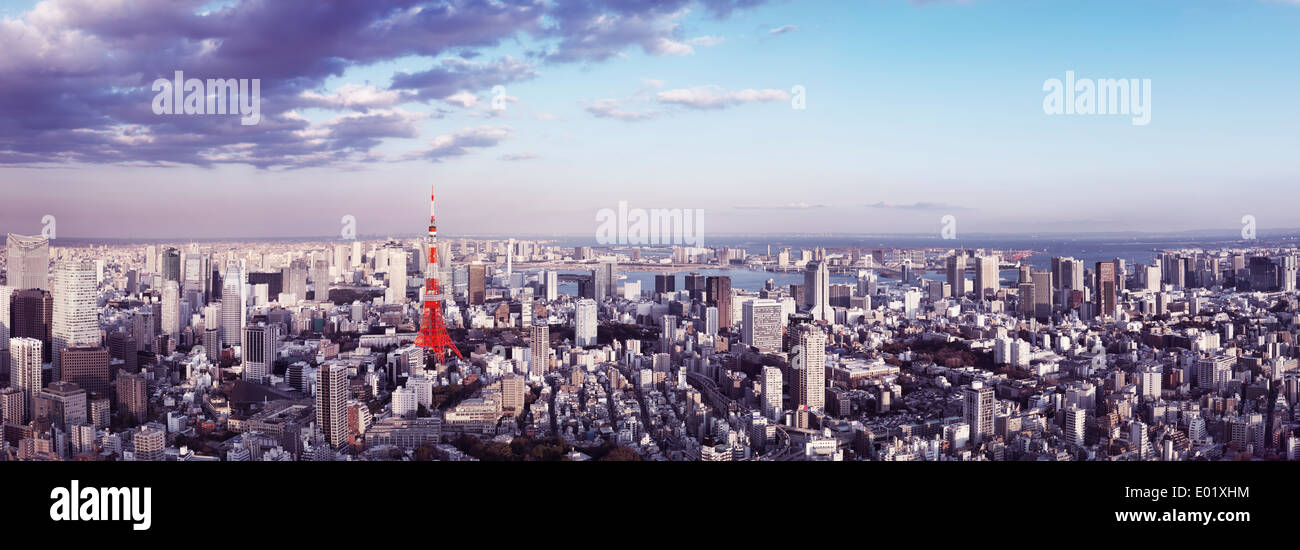 Führerschein verfügbar unter MaximImages.com - Tokyo Tower in Stadtlandschaft mit Panoramablick aus der Vogelperspektive. Tokio, Japan. Stockfoto