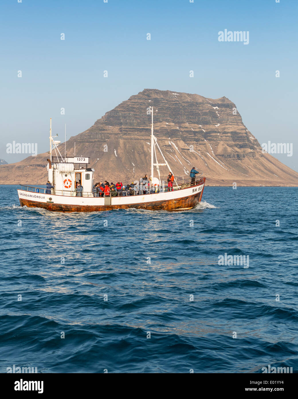 Orca Wale beobachten. Boot, Berg Kirkjufell, Grundarfjordur, Snaefellsnes Halbinsel, Island beobachten. Stockfoto