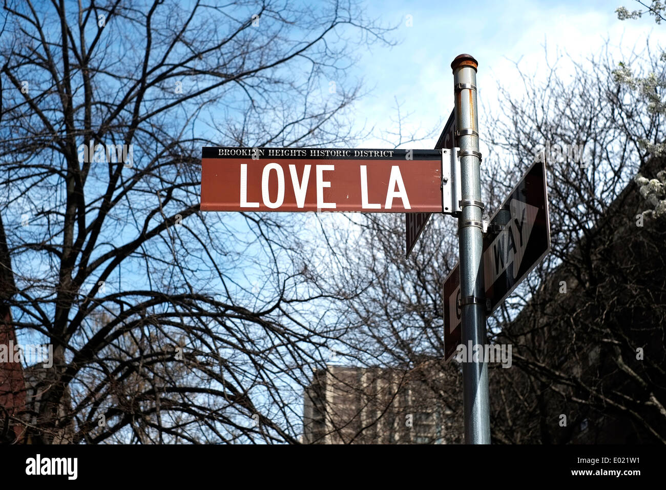 Blick auf ein Straßenschild für Love Lane in Brooklyn, New York City. Stockfoto
