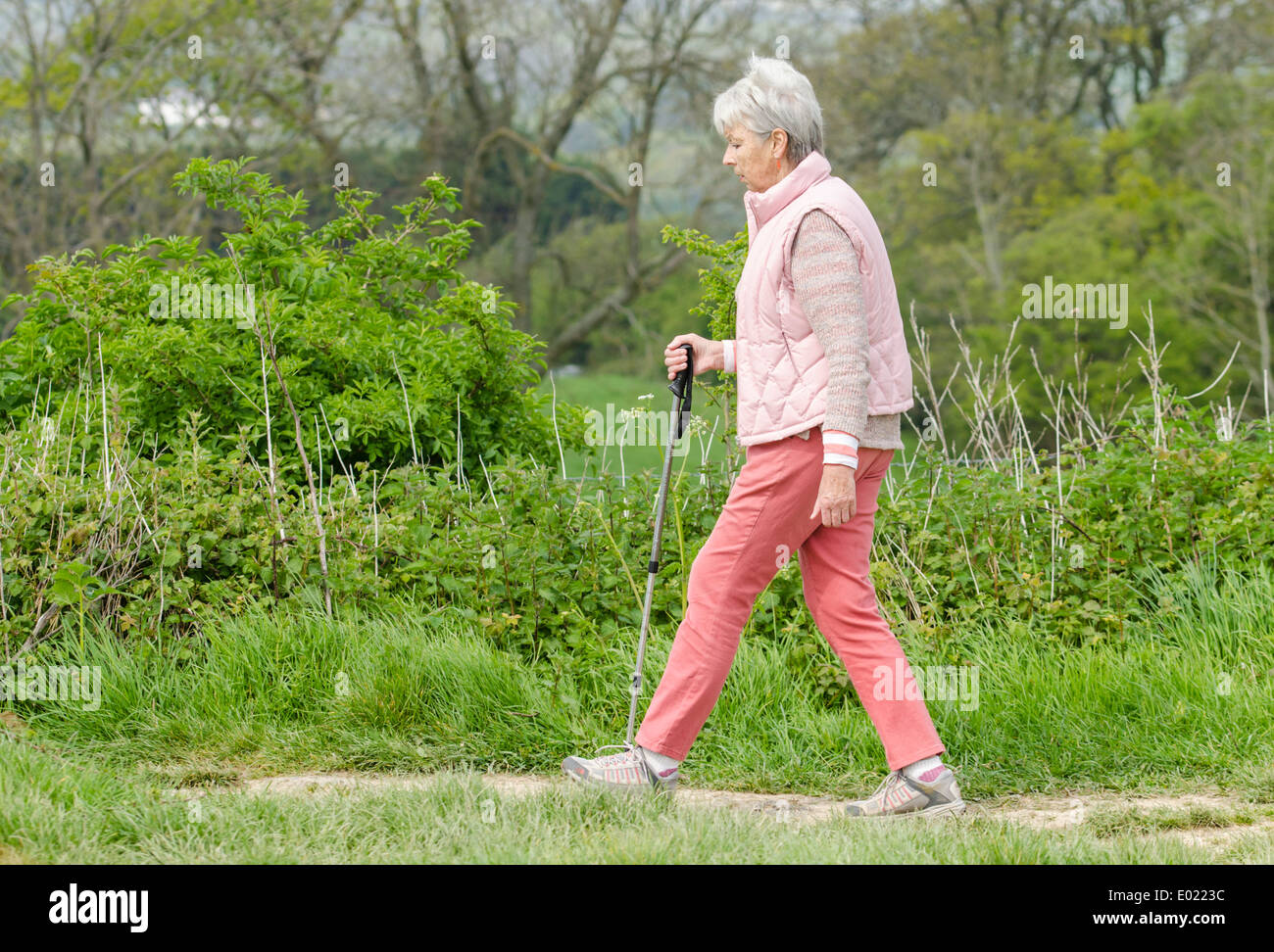 Ältere Dame mit einem Stock, Wandern in der Natur im Frühjahr in Großbritannien. Stockfoto
