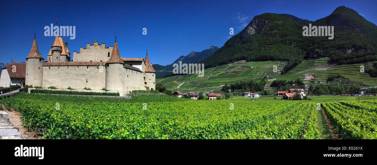Foto von Chateau d ' Aigle, Aigle Schloss, umgeben von Weinbergen, Aigle, Waadt, Schweiz Stockfoto