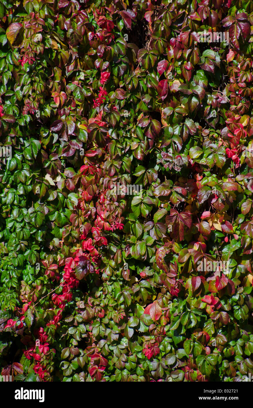 Merida, Badajoz, Extremadura, Spanien, Europa Stockfoto