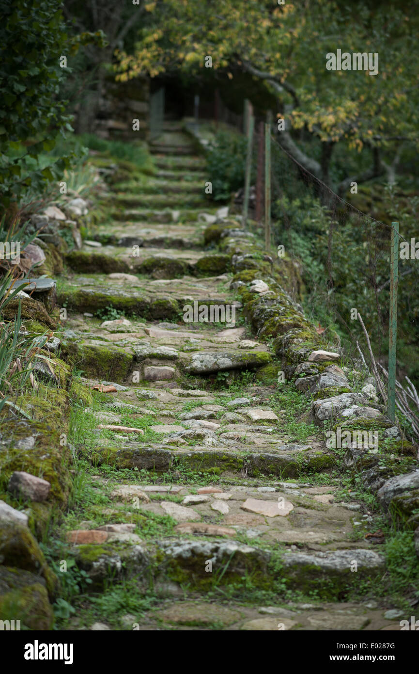 Steinstufen im El Palancar Convent, Pedroso de Acim, Cáceres, Extremadura, Spanien, Europa Stockfoto