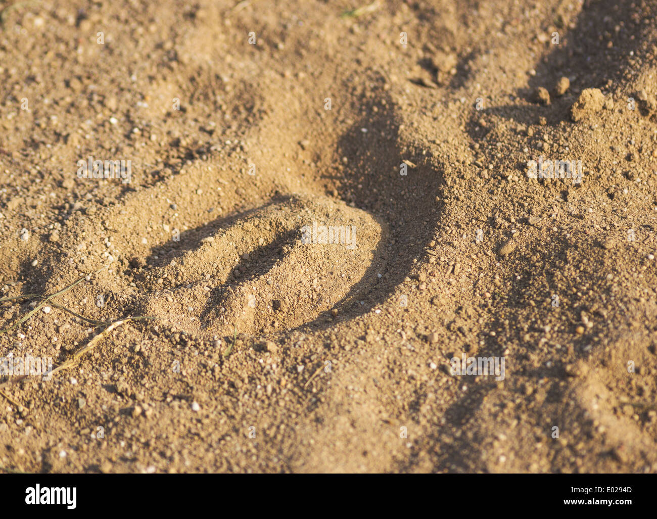 Wildes Pferd HUF Abdruck im sand Stockfoto