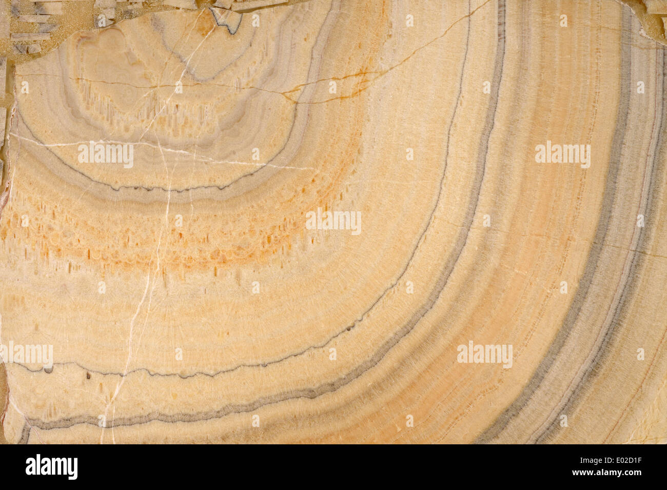 Natürliche Stein-Texturen für Design Stockfoto