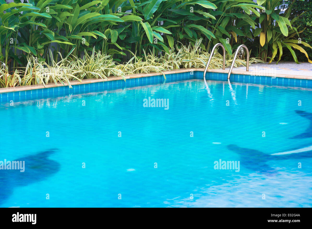 pool mit Treppe niemand Natur Umwelt Hintergrund Stockfoto