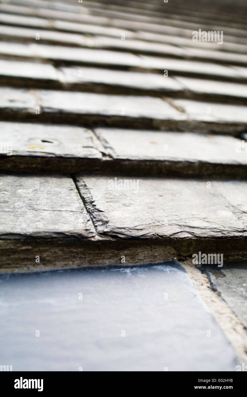 Schieferplatten auf Dach des St. Govan Kapelle, Pembrokeshire, West Wales Stockfoto