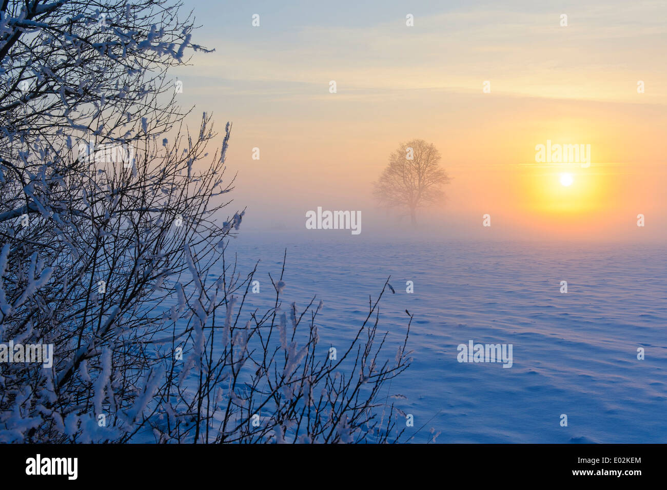 Schnee bedeckte Landschaft, Landkreis Vechta, Niedersachsen, Deutschland Stockfoto