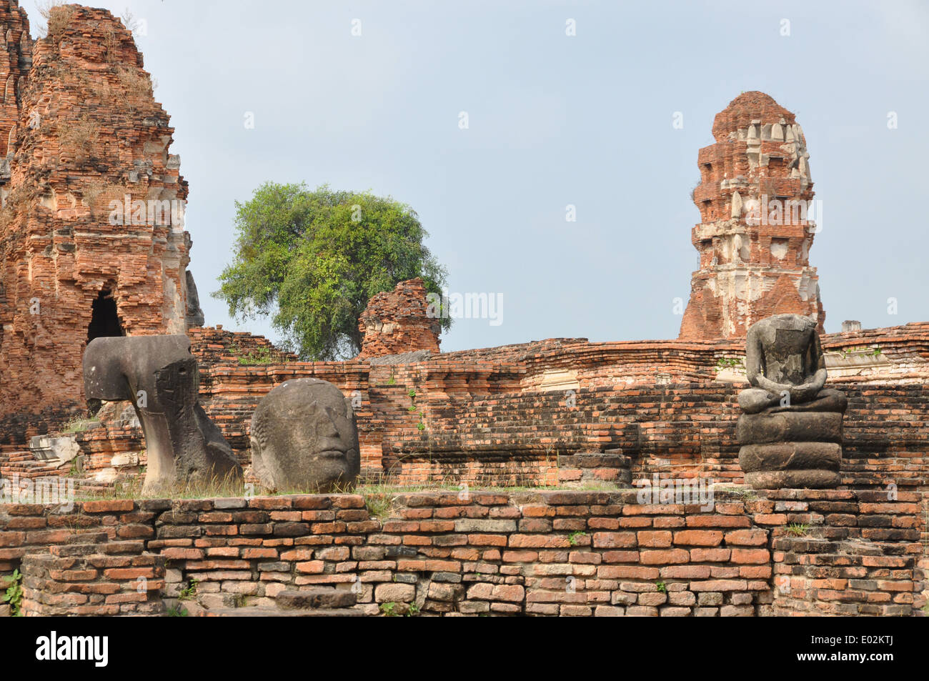 Ruinen in der Ayutthaya-Geschichtspark Ayutthaya, Thailand. Stockfoto