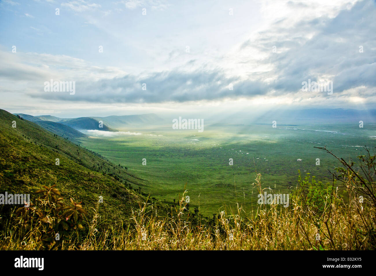 Ngorongoro Conservation Area, Tansania. Blick auf den Krater Stockfoto