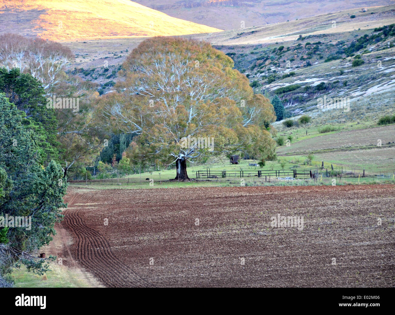 Ein großer Geist Kijiji auf einer Farm in Malutiberge, Südafrika Stockfoto